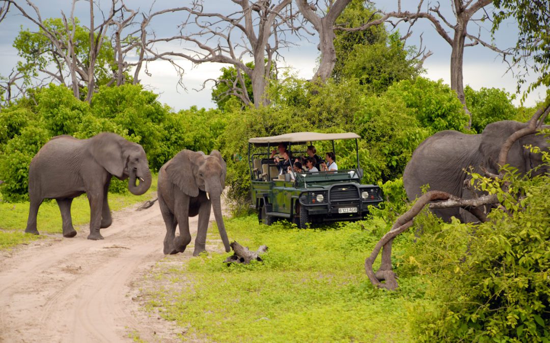 Luxury Fly-In Safari Around Botswana