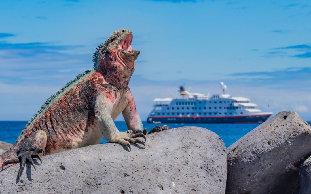 Galapagos Island Expedition with Hurtigruten